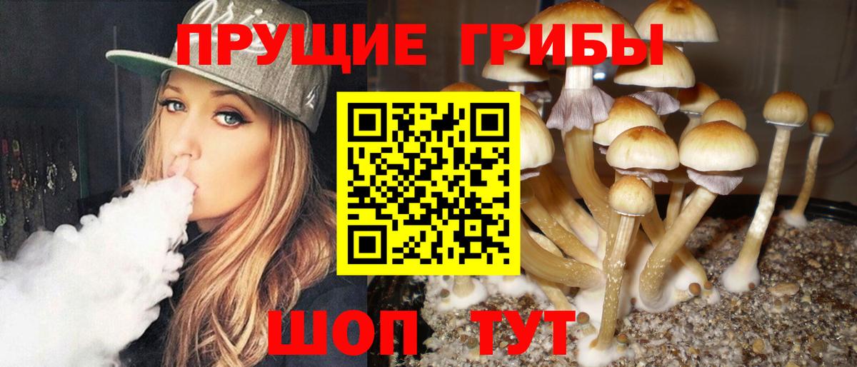Мирный  Галлюциногенные грибы ЛСД  Галлюциногенные грибы MAGIC MUSHROOMS  Вход с VPN 